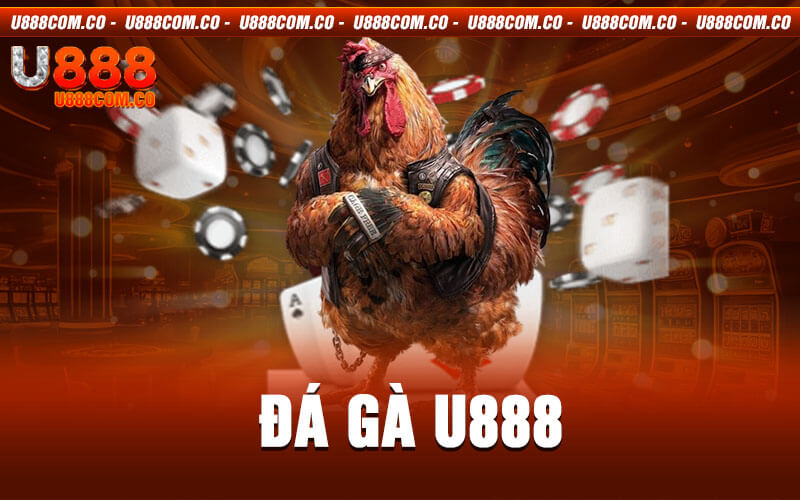 Đá Gà U888